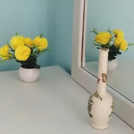 Apartment Kiknos Studios *